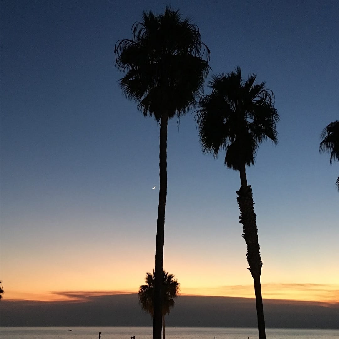 The Sunset at Venice Beach #instapassport #thecreative #artofvisuals #aroundtheworldpix…